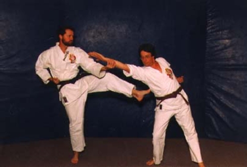 Circle block and front kick techniques