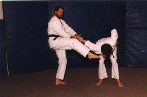 Cross block and kick techniques
